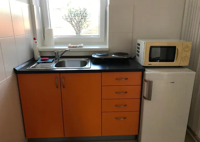 Apartament Corriger *